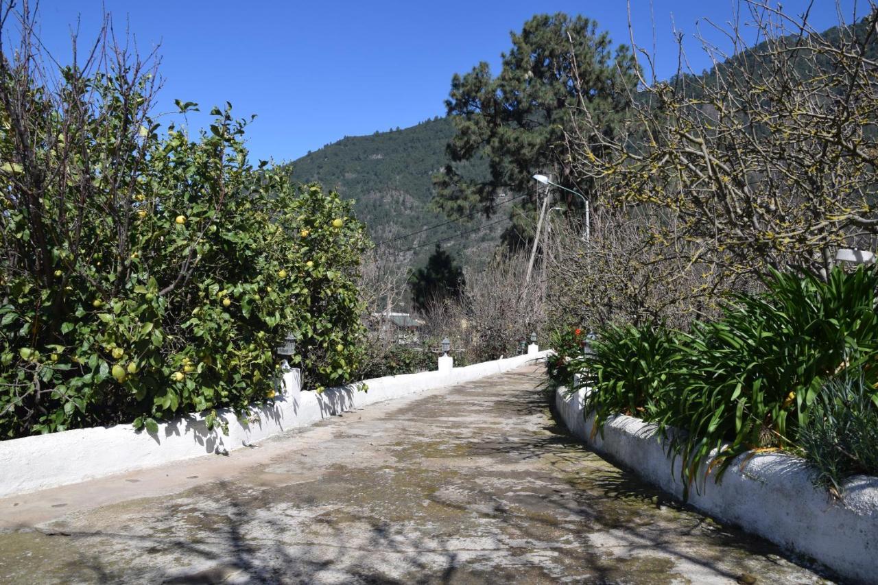 Casa Rural Juli 圣克鲁斯-德特内里费 外观 照片